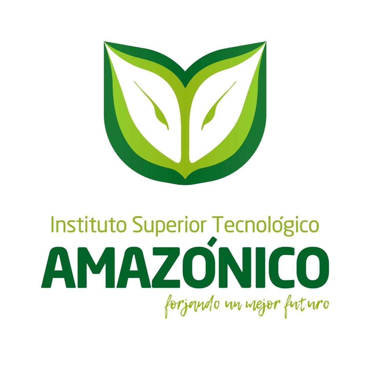 Logo ISTAM